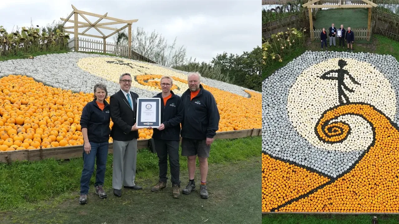 Sunnyfields Farm’s Nightmare Before Christmas Pumpkin Mosaic Shatters World Record