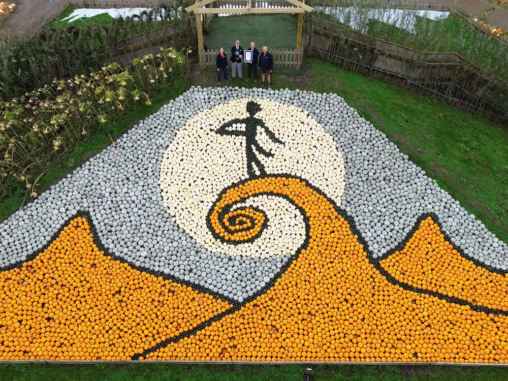 filmiii-Sunnyfields Farm's Nightmare Before Christmas Pumpkin Mosaic Shatters World Record