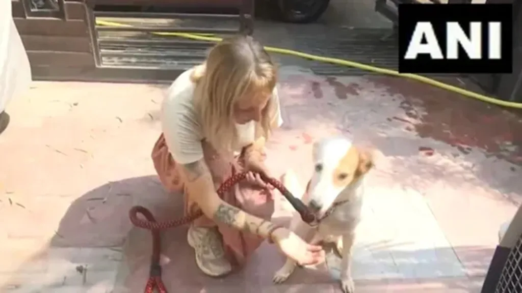 filmiii-Dutch Woman's Adopting a Street Dog from Varanasi, India